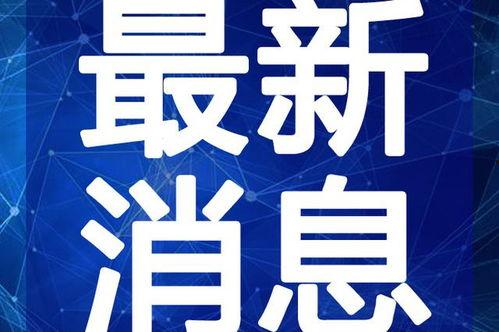石家庄摆摊爆料视频最新,摆摊爆料视频揭示街头经济新活力