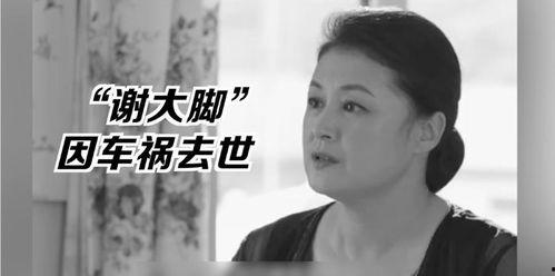 吃瓜群众娱乐大表姐,吃瓜群众眼中的娱乐圈风云变幻